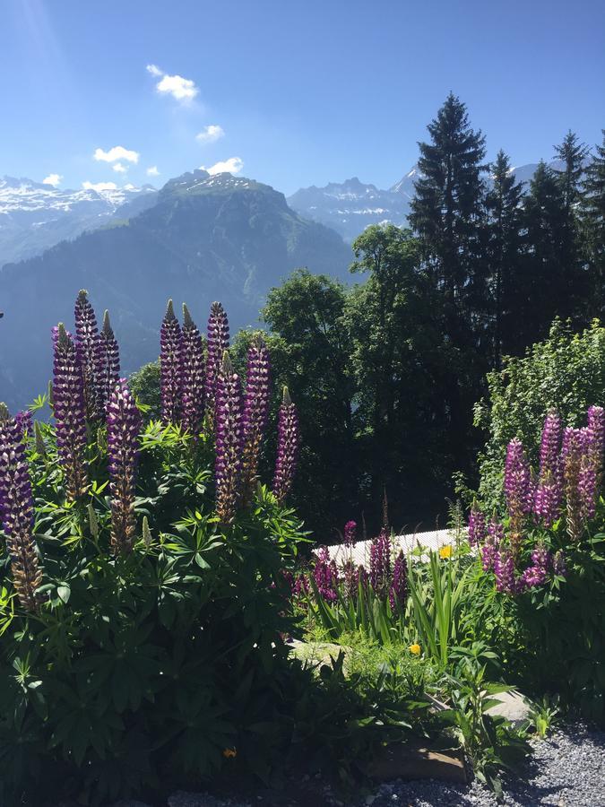 Hotel & Restaurant Stadthof Glarus Eksteriør bilde